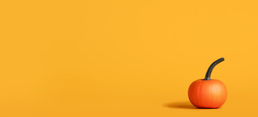 Halloween pumpkin on orange