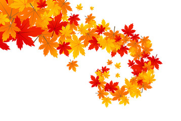 Fototapeta na wymiar Autumn leaves vector illustration