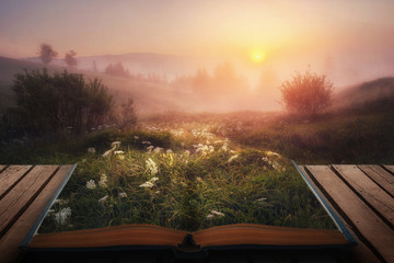 open fairytale magical book. amazing  view with foggy trees on horizon on sunrise. autumn landscape. beautiful natural background - obrazy, fototapety, plakaty