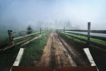 Fototapety na wymiar - Fototapeta24.pl