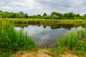 The shore of a calm river with the fishing passage through reed thickets