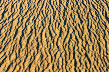 The texture of ripple sand surface