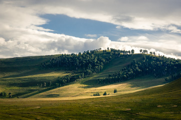 Grass hills covered with trees in steppe under spectacular clouds sky during sunset at Khakassia, Siberia, Russia.