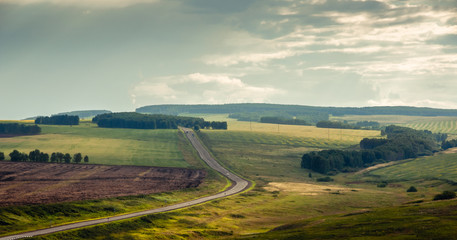 Sunset landscape with agricultural fields in steppe with forest and curvy asphalt road to the horizon at Khakassia, Siberia, Russia.