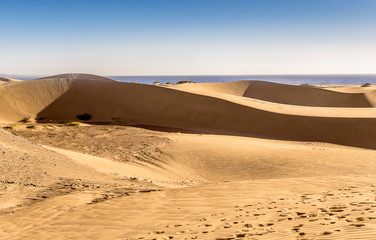 Fototapeta na wymiar Gran Canaria dunes - Maspalomas sand desert landscape. Spain