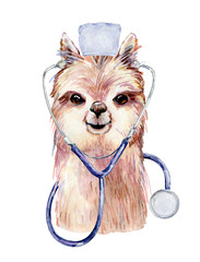 lama watercolor illustration © Tapilipa