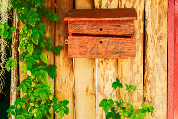 Wooden post box 5414 with plants cropping on the side 