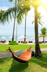 Empty hammock between palms trees