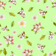 Seamless botanical pattern of hand drawn watercolor apple flowers