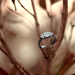 A beautiful diamond gold ring hung from a tree branch.