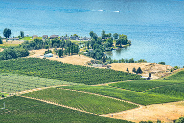Fototapeta na wymiar Landscape overview with farmer's land at Okanagan lake on sunny summer day