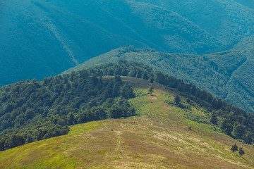 Amazing landscape of mountain green meadow. Location place Ukraine Carpathian ridge Borzhava.