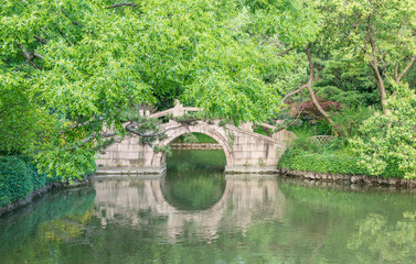 Fototapeta na wymiar Garden scenery in Drunk White Pool Park, Shanghai, China