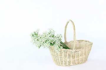 Fototapeta na wymiar ニラの白い花の花束