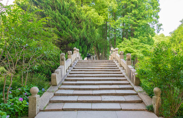 Garden scenery in Drunk White Pool Park, Shanghai, China