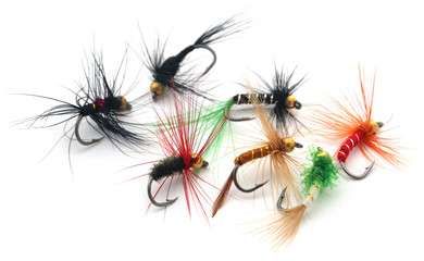 Fishing flies of diffrent colors
