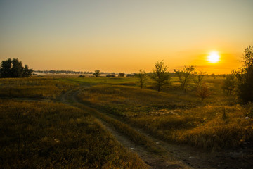 sunset over a field