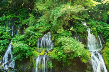 吐竜の滝