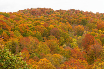 Colorful autumn season on Hachimantai mountain, Tohoku, Japan.