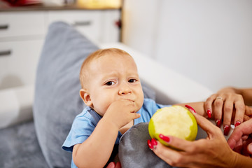 Parents feeding their baby with healthy green apple.