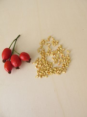 Rosehip seeds - kernels from the wild fruit dog rose