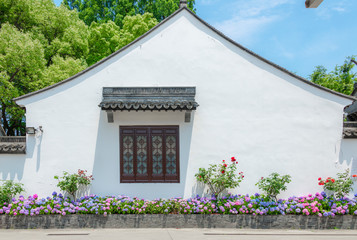 Hydrangea under the corner of Drunk White Pool Park in Shanghai, China