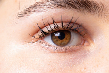 Fototapeta na wymiar A closeup and macro view on the healthy eye of a young caucasian girl with bright white eyeball and marbled brown iris, healthy and attractive.