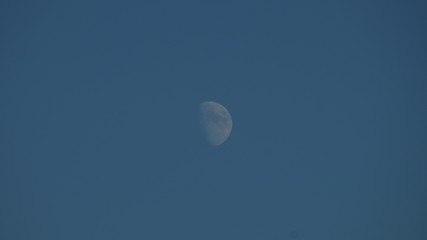 full moon in the sky