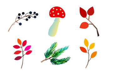 Autumn vector set with leaves andmushrooms. Seasonal fall collection.