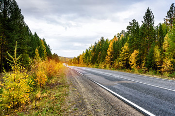A curving autumn road with colorful forest and mountain in the far distance