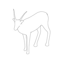 Gazzelle Isolated Line