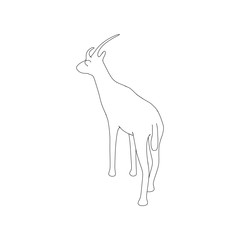 Gazzelle Isolated Line