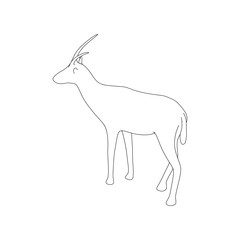 Gazzelle Isolated Line