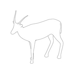 Gazzelle Isolated Line
