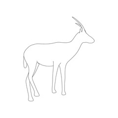 Gazzelle Isolated Phose