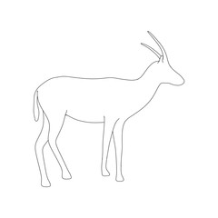 Gazzelle Isolated Phose