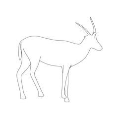 Obraz premium Gazzelle Isolated Phose