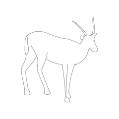 Gazzelle Isolated Phose