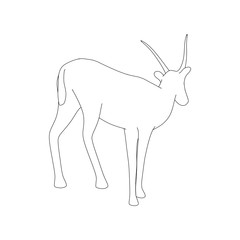 Gazzelle Isolated Phose