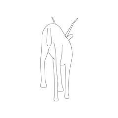 Gazzelle Isolated Phose