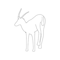 Gazzelle Isolated Phose