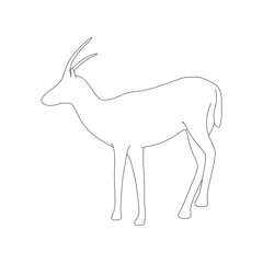 Gazzelle Isolated Phose