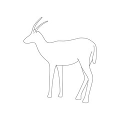 Obraz premium Gazzelle Isolated Pose Line