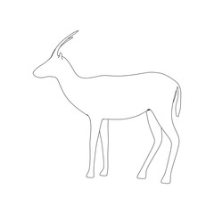 Obraz premium Gazzelle Isolated Pose Line