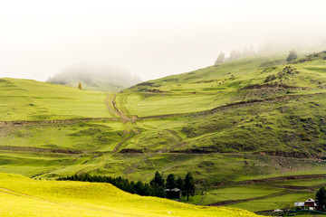 Green valley on a foggy morning in the Caucasus mountains. Georgia, Tusheti