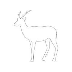 Gazzelle Isolated Pose Line