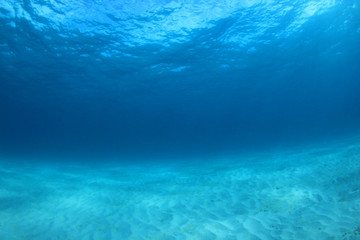 Fototapeta na wymiar Underwater blue ocean background 