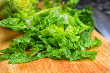 Detail of a fresh bio lettuce leaves