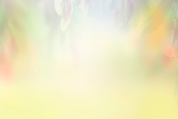 Abstact blurred nature background - obrazy, fototapety, plakaty