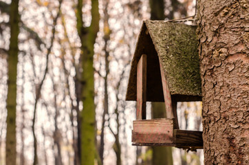 A wooden feeder on the background of a blurred forest.
